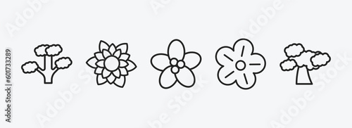 nature outline icons set. nature icons such as slippery elm tree, dahlia, pointia, petunia, shadbush tree vector. can be used web and mobile.