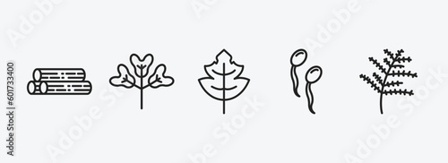 nature outline icons set. nature icons such as woods, obcordate, tree leave, fertilize clinic, cypress leaf vector. can be used web and mobile.