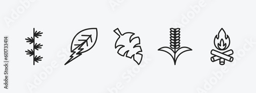 nature outline icons set. nature icons such as larch leaf, natural energy, leaf monstera, grains, camping bonfire vector. can be used web and mobile.