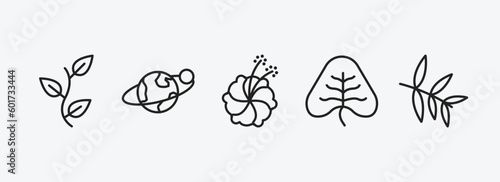 nature outline icons set. nature icons such as perfoliate, planet with satellite, hibiscus, cordate, willow leaf vector. can be used web and mobile.
