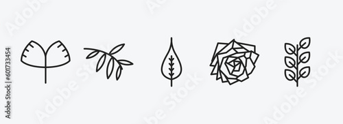 nature outline icons set. nature icons such as ginkgo, black willow, poplar leaf, roses, bilberry leaf vector. can be used web and mobile.