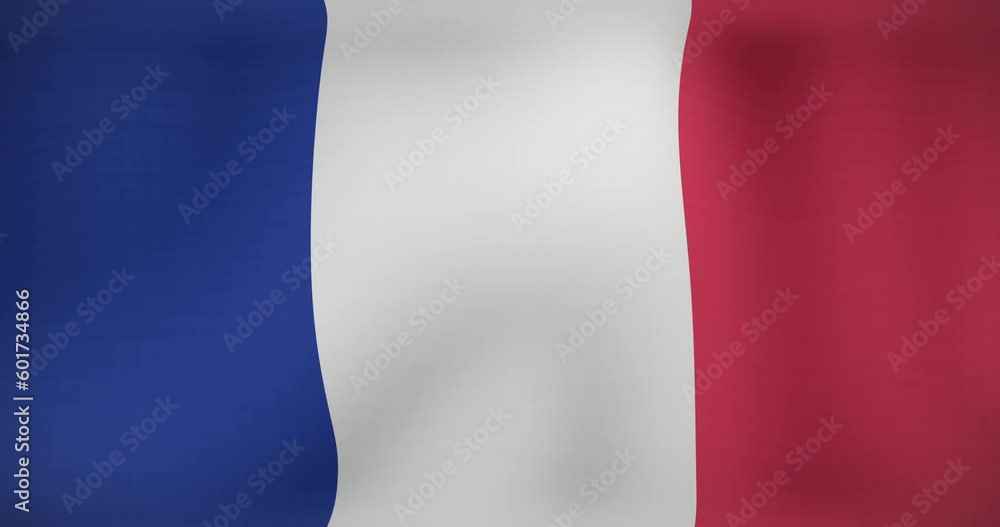 Animation of fireworks over flag of france Animation of fireworks over flag of france