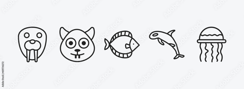 animals collection. outline icons set. animals collection. icons such as walrus, squirrel, flounder, grampus, medusa vector. can be used web and mobile.