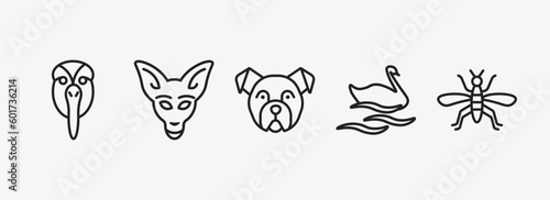 animals outline icons set. animals icons such as albotros, kangaroo, bulldog, swan, mosquito vector. can be used web and mobile.