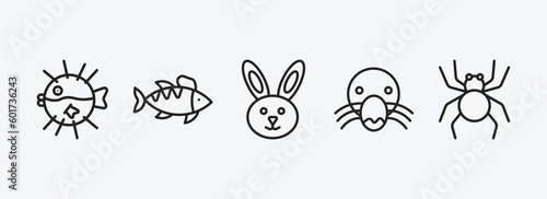 Photography animals outline icons set