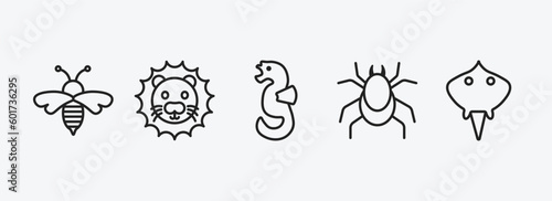 animals outline icons set. animals icons such as wasp, lion, seahorse, mite, ray vector. can be used web and mobile.