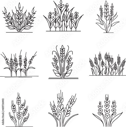 Set of crops wheat barley line art vector silhouette crop 