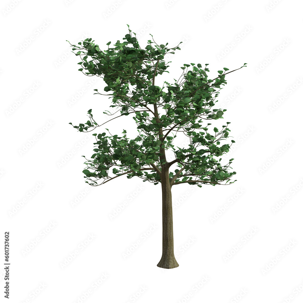 3d rendering green verdant tree isolated 3d rendering green verdant tree isolated