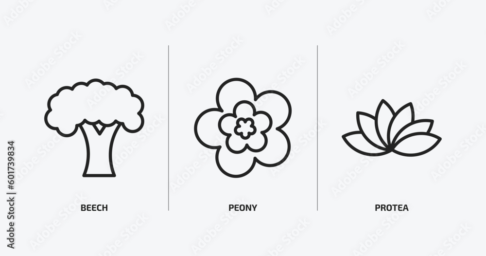 nature outline icons set. nature icons such as beech, peony, protea vector. can be used web and mobile. nature outline icons set. nature icons such as beech, peony, protea vector. can be used web and mobile.