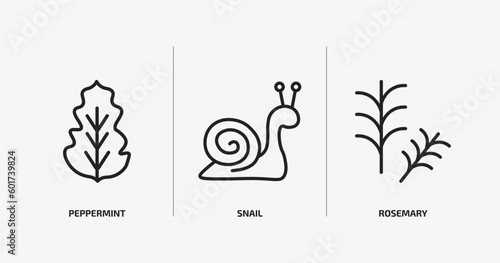 nature outline icons set. nature icons such as peppermint, snail, rosemary vector. can be used web and mobile.