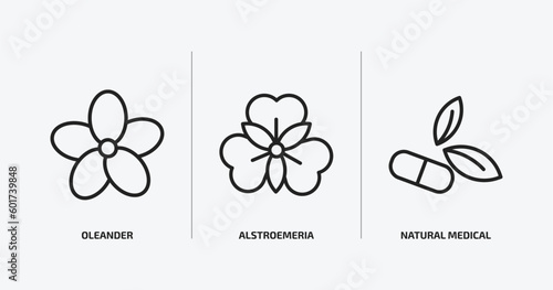 nature outline icons set. nature icons such as oleander, alstroemeria, natural medical pills vector. can be used web and mobile.
