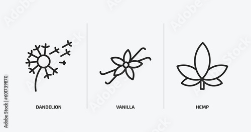 nature outline icons set. nature icons such as dandelion, vanilla, hemp vector. can be used web and mobile.