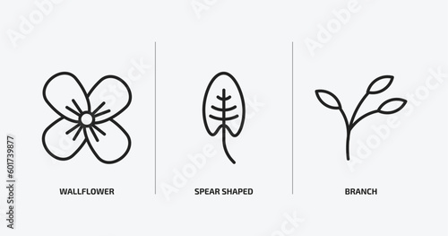 nature outline icons set. nature icons such as wallflower, spear shaped, branch vector. can be used web and mobile.