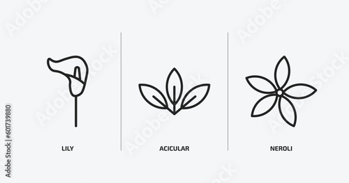 nature outline icons set. nature icons such as lily, acicular, neroli vector. can be used web and mobile.