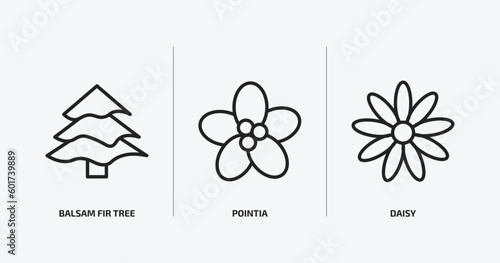 nature outline icons set. nature icons such as balsam fir tree, pointia, daisy vector. can be used web and mobile.