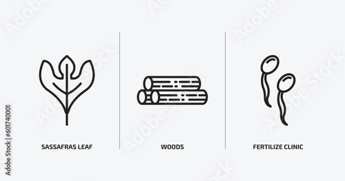 nature outline icons set. nature icons such as sassafras leaf, woods, fertilize clinic vector. can be used web and mobile.