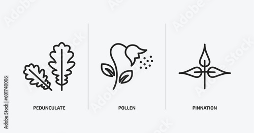 nature outline icons set. nature icons such as pedunculate, pollen, pinnation vector. can be used web and mobile.