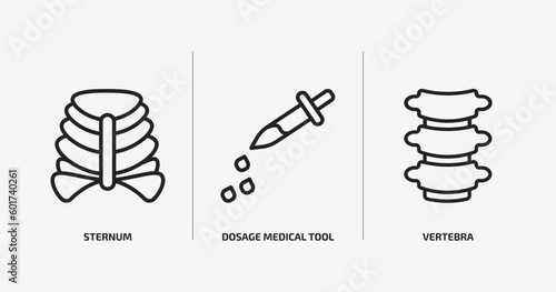 medical outline icons set. medical icons such as sternum, dosage medical tool, vertebra vector. can be used web and mobile.