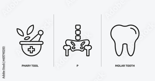 medical outline icons set. medical icons such as phary tool, p, molar tooth vector. can be used web and mobile.