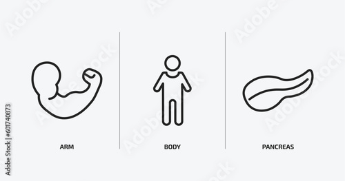 medical outline icons set. medical icons such as arm, body, pancreas vector. can be used web and mobile.