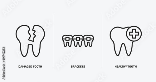 dentist outline icons set. dentist icons such as damaged tooth  brackets  healthy tooth vector. can be used web and mobile.
