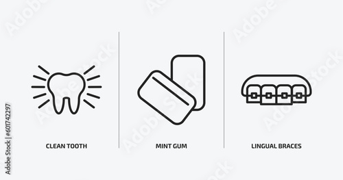 dentist outline icons set. dentist icons such as clean tooth, mint gum, lingual braces vector. can be used web and mobile.