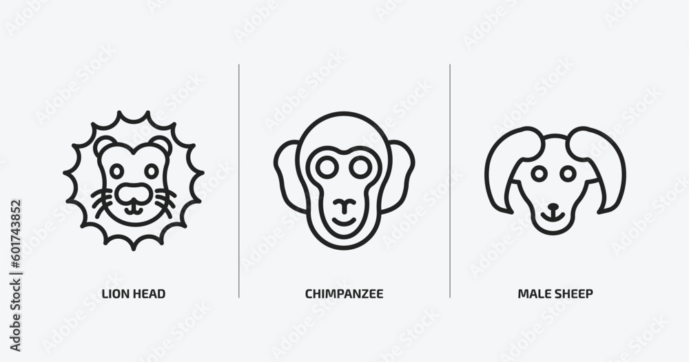 animals outline icons set. animals icons such as lion head, chimpanzee, male sheep vector. can be used web and mobile. animals outline icons set. animals icons such as lion head, chimpanzee, male sheep vector. can be used web and mobile.