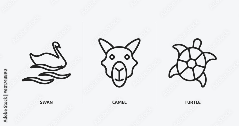 animals outline icons set. animals icons such as swan, camel, turtle vector. can be used web and mobile. animals outline icons set. animals icons such as swan, camel, turtle vector. can be used web and mobile.