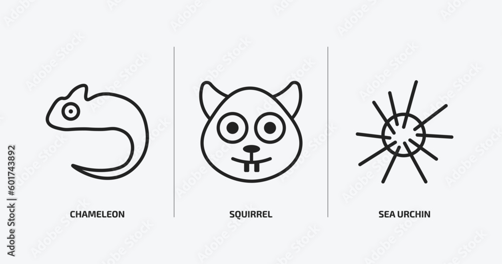 animals outline icons set. animals icons such as chameleon, squirrel, sea urchin vector. can be used web and mobile.