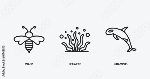 animals outline icons set. animals icons such as wasp, seaweed, grampus vector. can be used web and mobile.