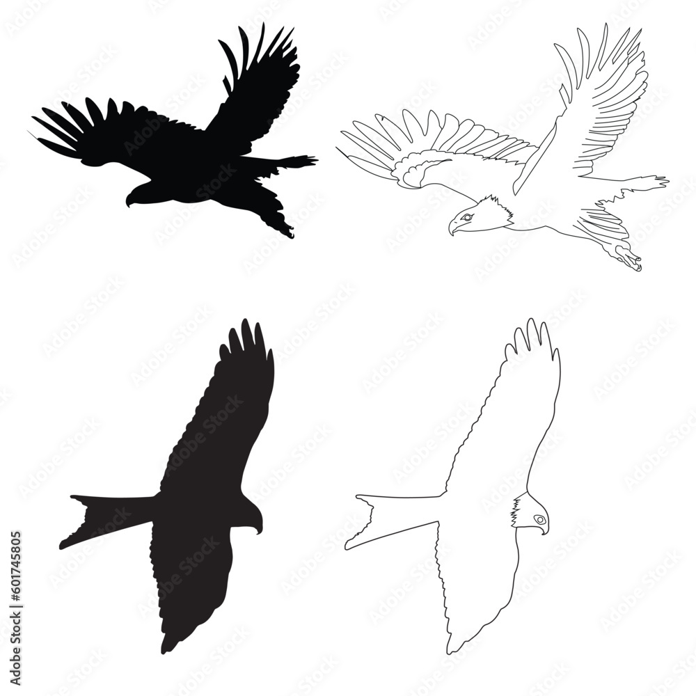 Obraz premium Flying Bird Silhouette and line art Vector Group Set
