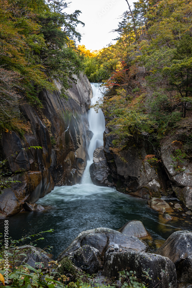 Fototapeta premium Senga Waterfall ( Sengataki ), A waterfall in Mitake Shosenkyo Gorge. Autumn foliage scenery view in sunny day. A popular tourist attractions in Kofu, Yamanashi Prefecture, Japan
