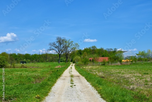 Gravel road leading through fields to Krakov forest near Kostanjevica na Krki in Dolenjska, Slovenia © kato08