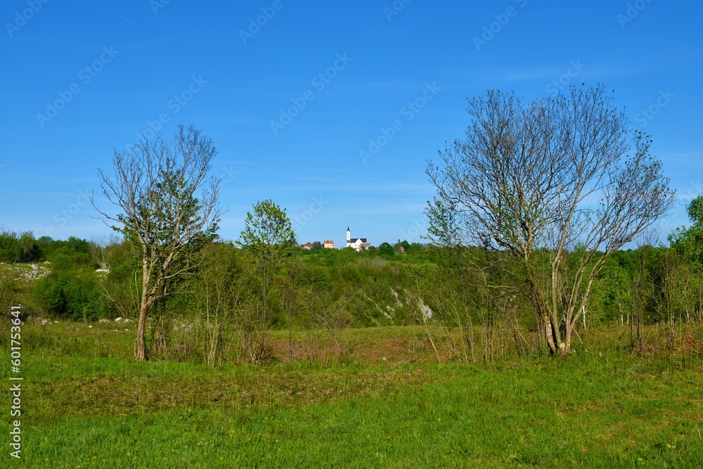 View of St. Anthony's Church in Drežnik grad in Lika-Senj county, Croatia with a forest bellow and a meadow in front View of St. Anthony's Church in Drežnik grad in Lika-Senj county, Croatia with a forest bellow and a meadow in front