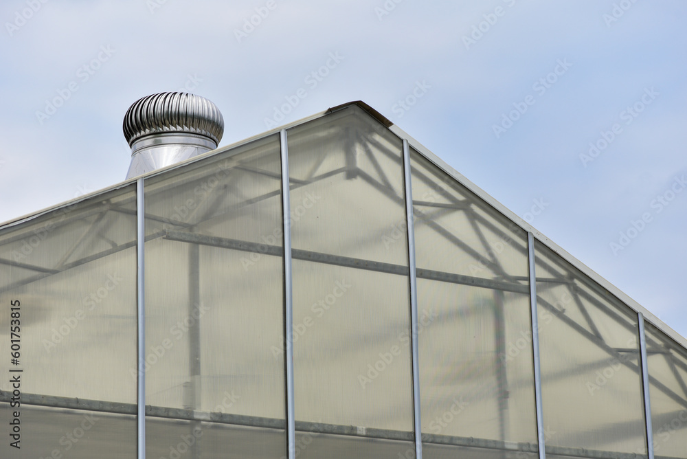 Greenhouse corner in modern agriculture concept of Thailand. Growing plants in greenhouses. Greenhouse corner in modern agriculture concept of Thailand. Growing plants in greenhouses.
