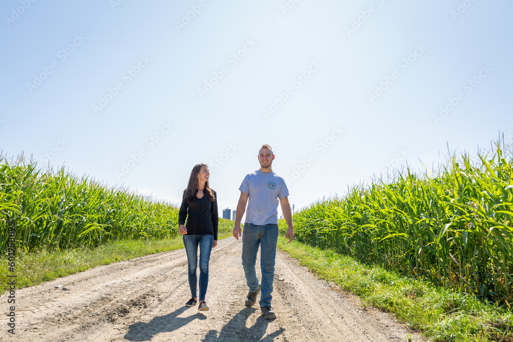 Fototapeta premium Couple of farmers entrepreneurs walking in a field of corn 