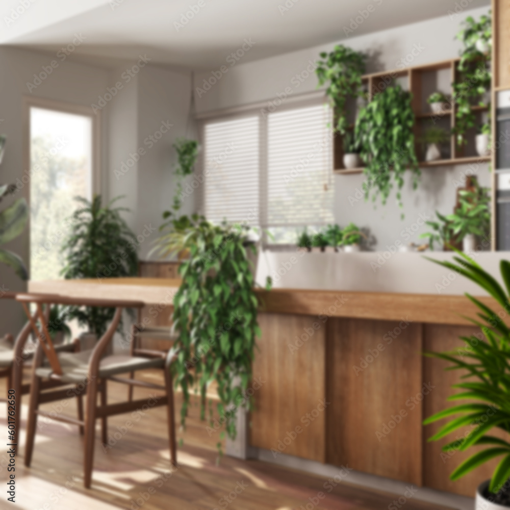 Fototapeta premium Blurred background, wooden kitchen with island, chairs, windows and appliances. Love for plants concept, many houseplants. Urban jungle interior design