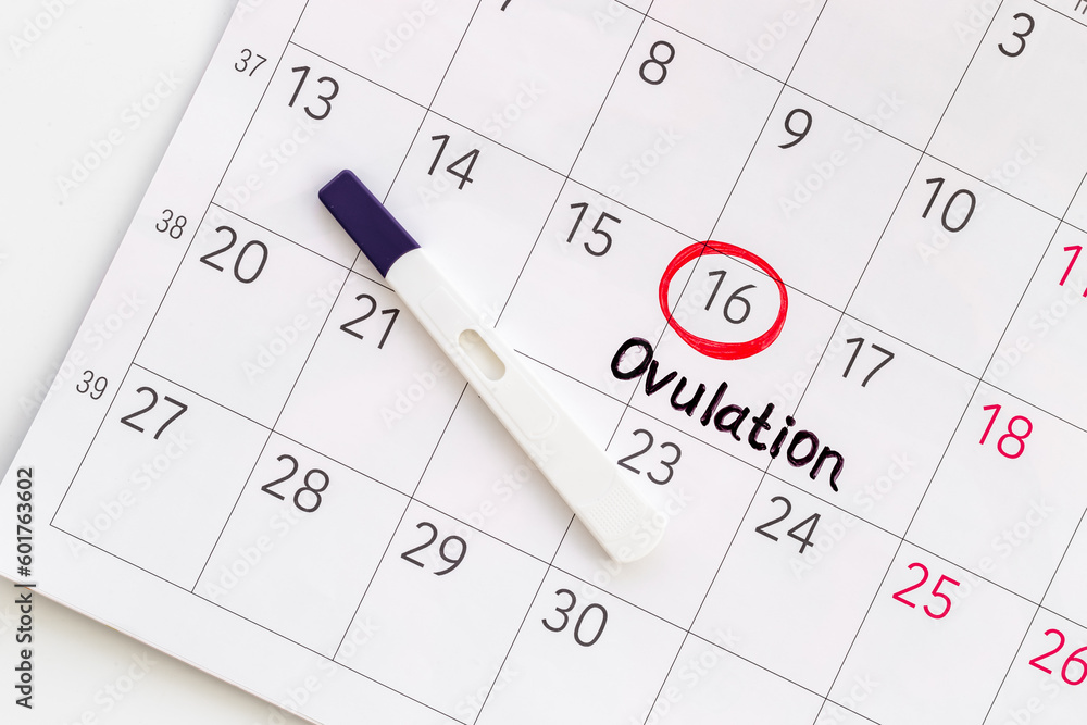 Female ovulation day on calendar with pregnancy test Female ovulation day on calendar with pregnancy test