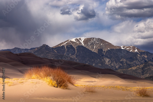 Great Sand Dunes National Park in Colorado. A small shrub grows in a sand dune with snow topped mountains in the background. Grey rain clouds mixed with blue sky float above the mountain peak.  © Scott Book