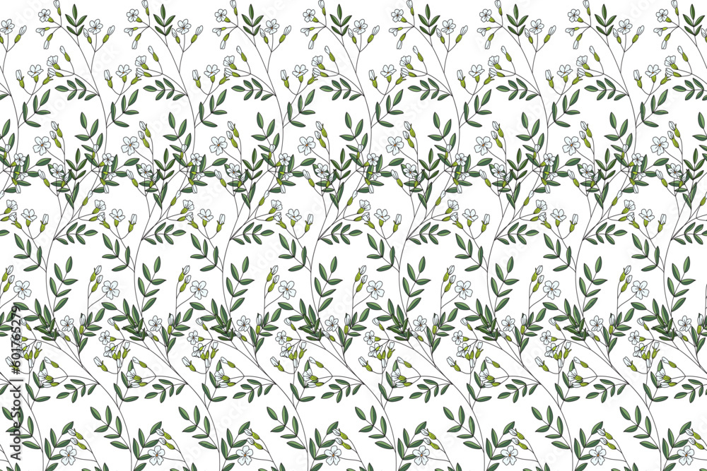 Illustration, Gypsophila flower on white background.