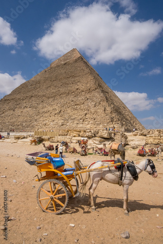 Calesa de caballos frente a la pir  mide de Kefr  n en el Valle de Guiza  a las afueras de El Cairo  Egipto