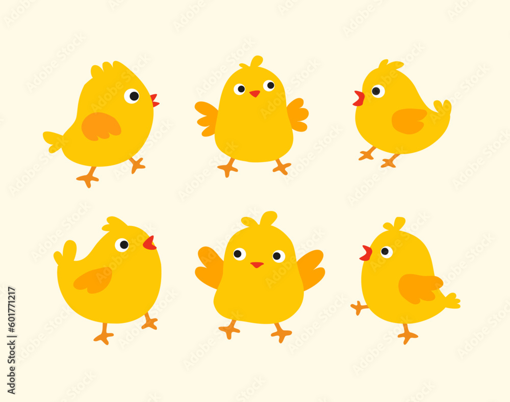 Vector coloured chick collection