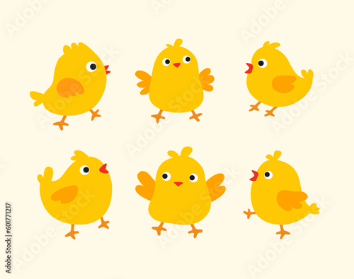 Vector coloured chick collection
