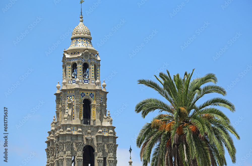 California Tower and palm tree - San Diego, California