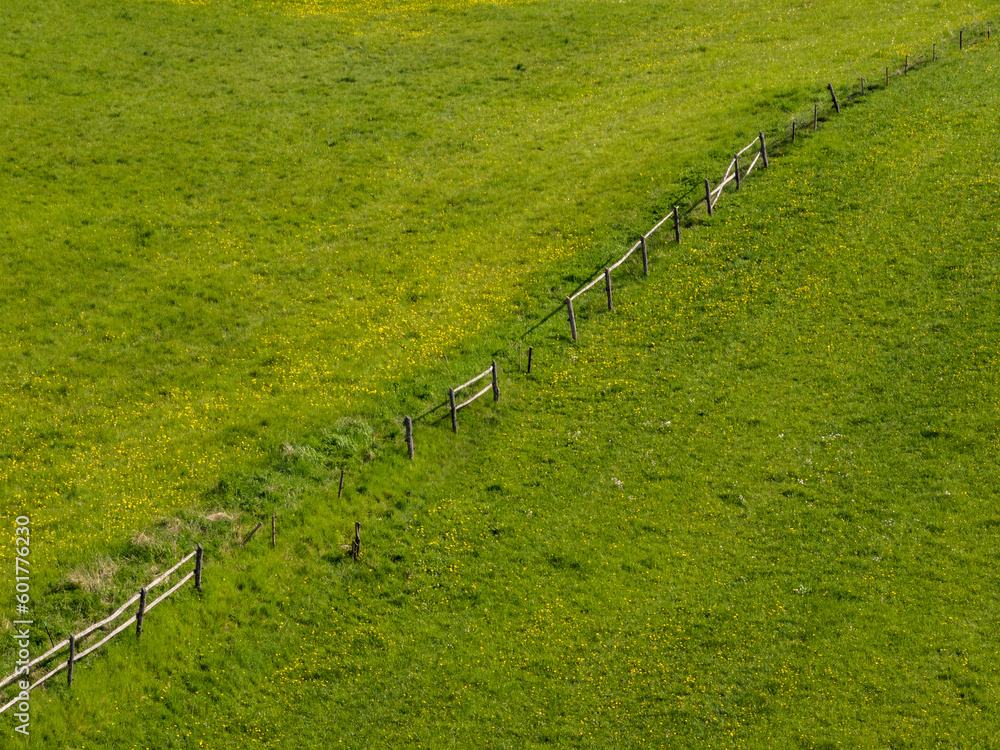 custom made wallpaper toronto digitalBeautiful green meadow with wooden fence - drone aerial photo on sunny day, Poland, Mazury