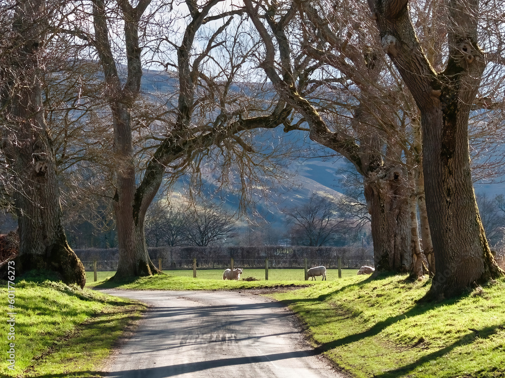 Haystoun path and pasture, Peeblesshire, Scotland. Haystoun path and pasture, Peeblesshire, Scotland.