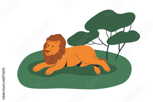 African lion, wild feline animal lying. Leo king, savanna predator with mane relaxing on grass in savannah. Male beast, mammal. Flat graphic vector illustration isolated on white background