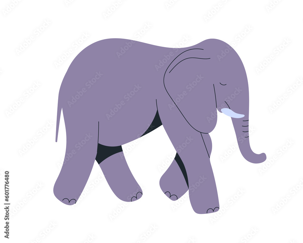 Fototapeta premium Wild elephant, big heavy African animal. Huge mammal walking, going, side view. Great large herbivore beast with tusks, trunk. Childish flat vector illustration isolated on white background