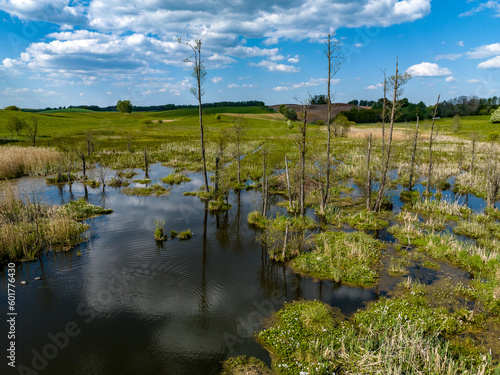 Fototapeta Naklejka Na Ścianę i Meble -  Aerial view of swamp in springtime with trees and grass, blue sky and reflection in water