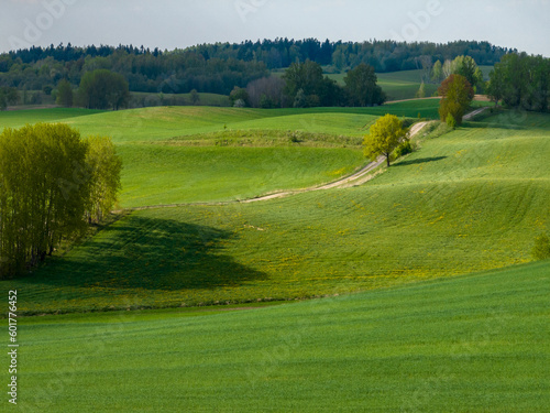 Wallpaper Mural Aerial view of meadows and agricultural field in spring with blue sky, Poland, Mazury Torontodigital.ca